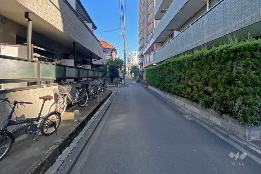 敷地西側の前面道路（南側から）