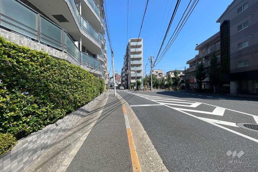 敷地東側の前面道路　