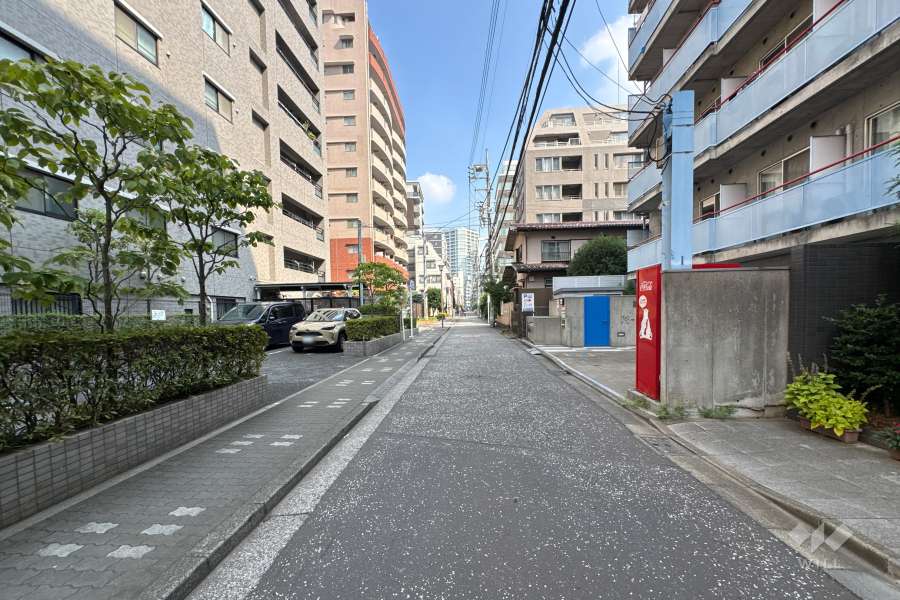敷地東側の前面道路