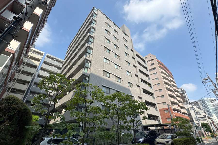 藤和シティホームズ三鷹禅林寺通りの外観（南東側から）　