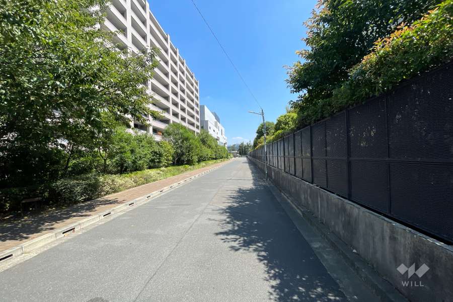 敷地南側の前面道路