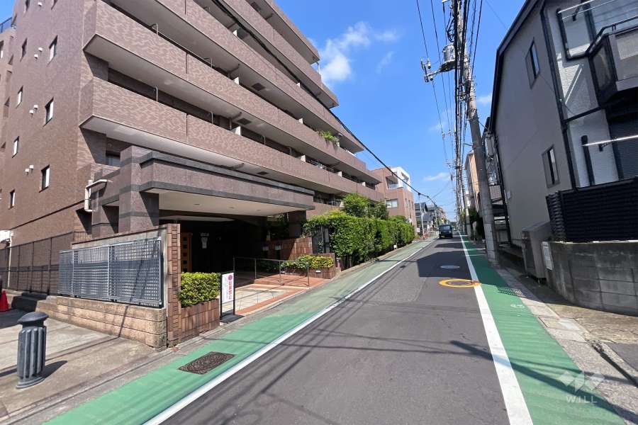 敷地東側の前面道路（南側から）