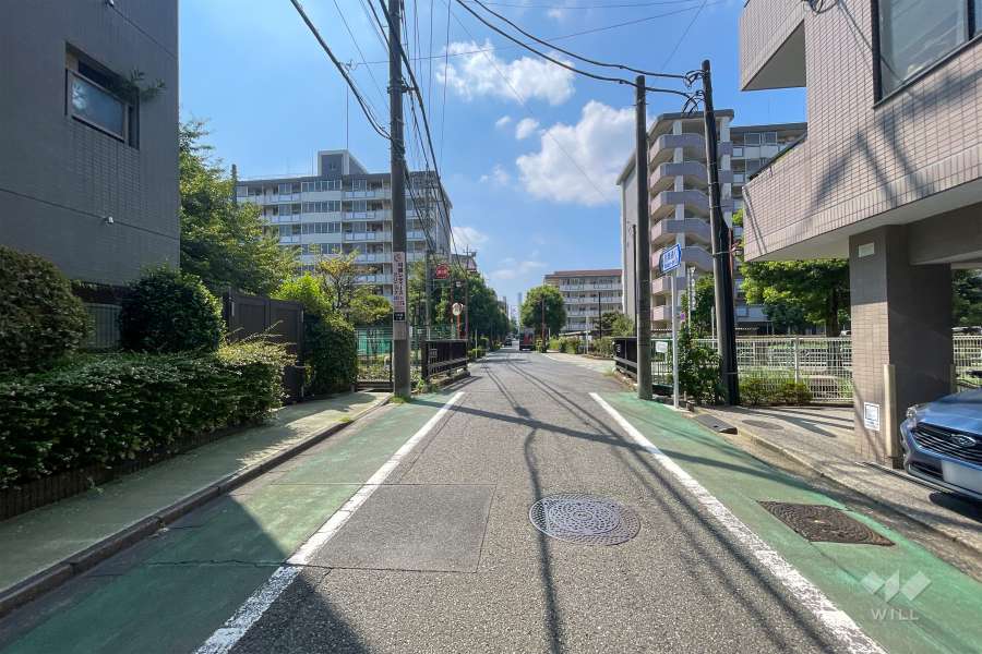 敷地東側の前面道路（北側から）