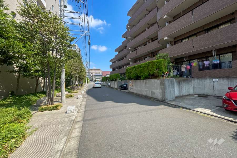 敷地西側の前面道路（南側から）