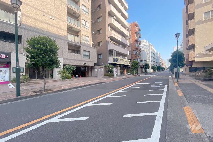 敷地東側の前面道路（南側から）