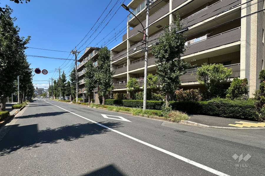 敷地の南側前面道路（東側から）