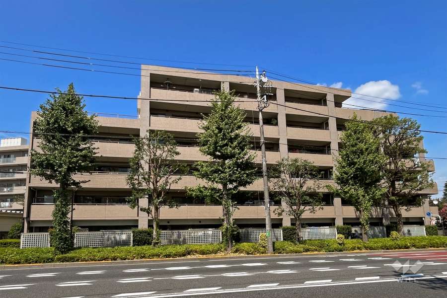 コスモ吉祥寺南ブライトステージの外観（南西側から）