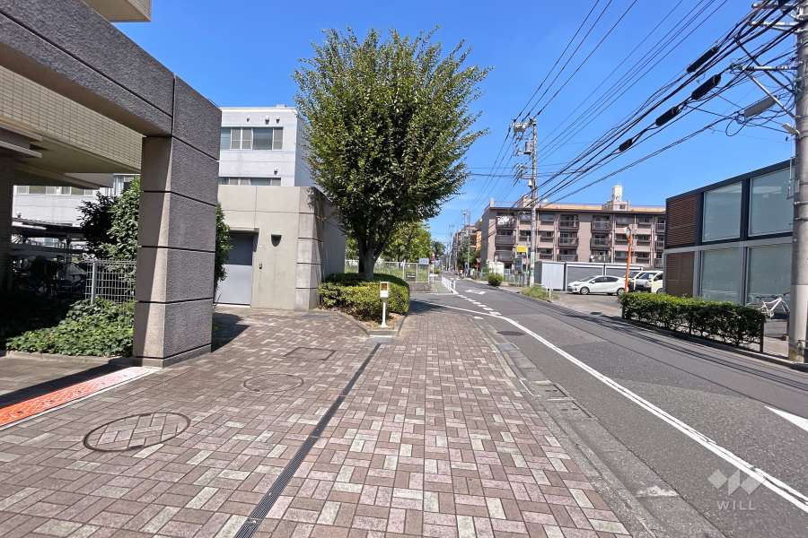 敷地東側の前面道路（南側から）