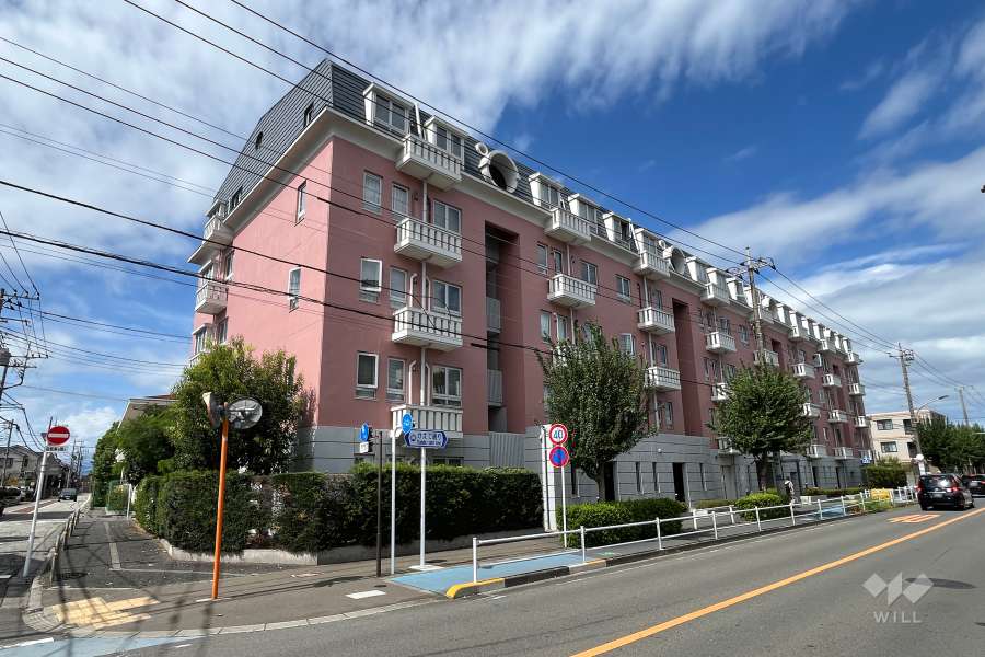 ダイアパレス三鷹かえで通りの外観（南東側から）