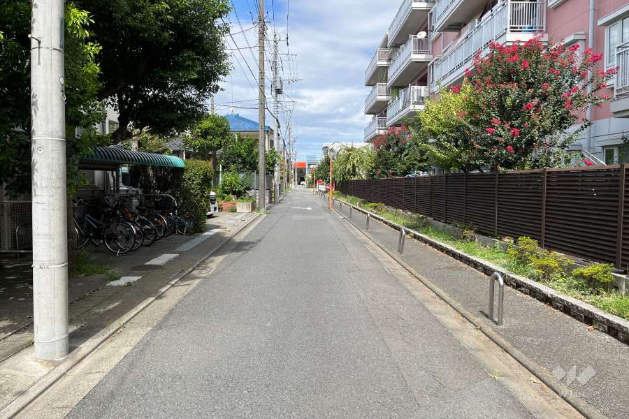敷地の西側前面道路（南側から）