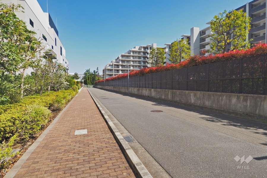 敷地北側の前面道路（西側から）