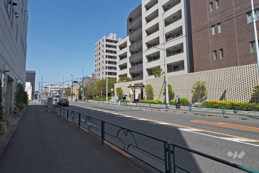 敷地西側の前面道路（南側から）