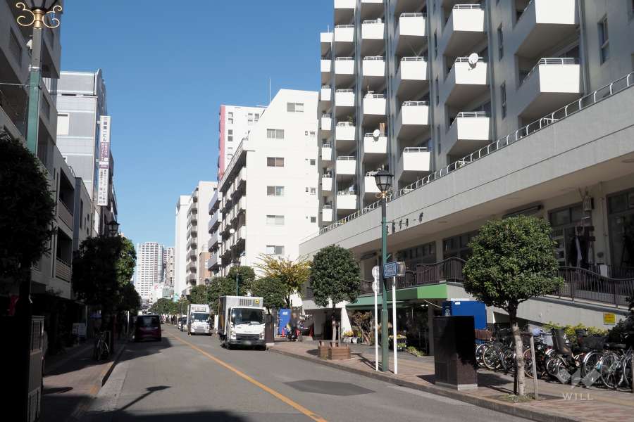 敷地西側の前面道路