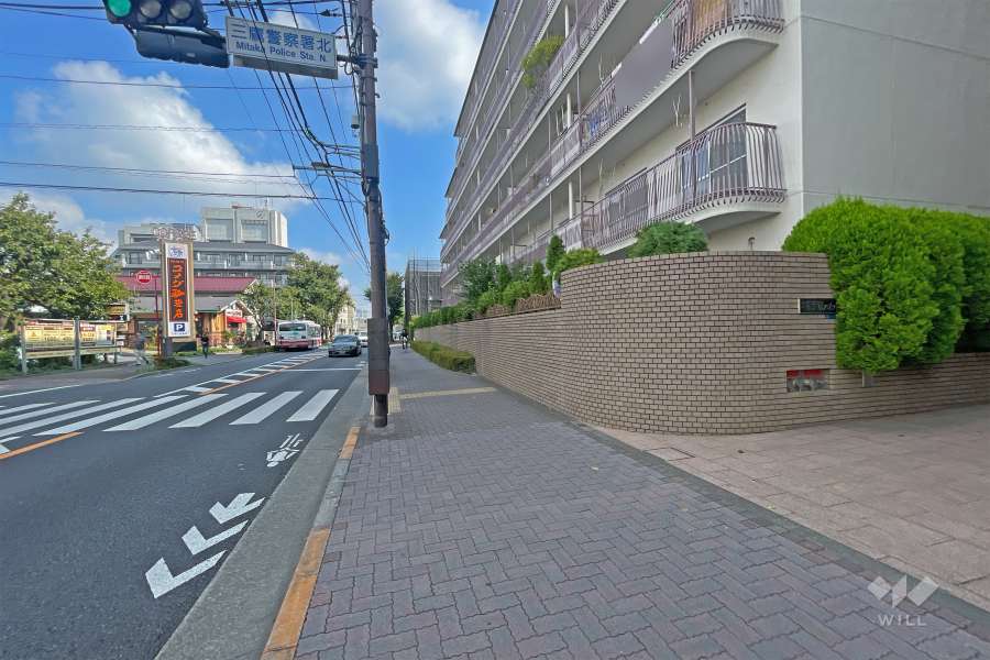 敷地の西側前面道路（南側から）
