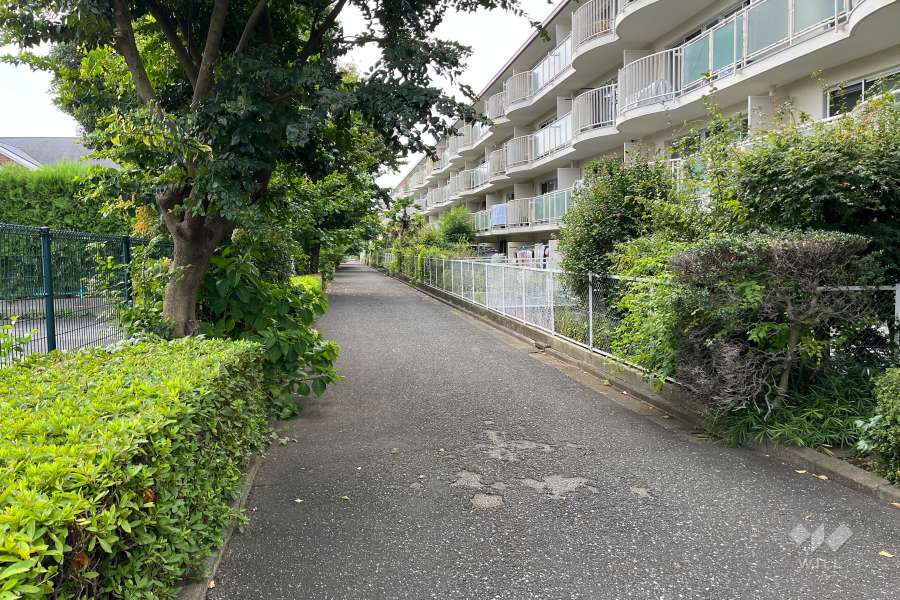 敷地の東側敷地内通路（北側から）