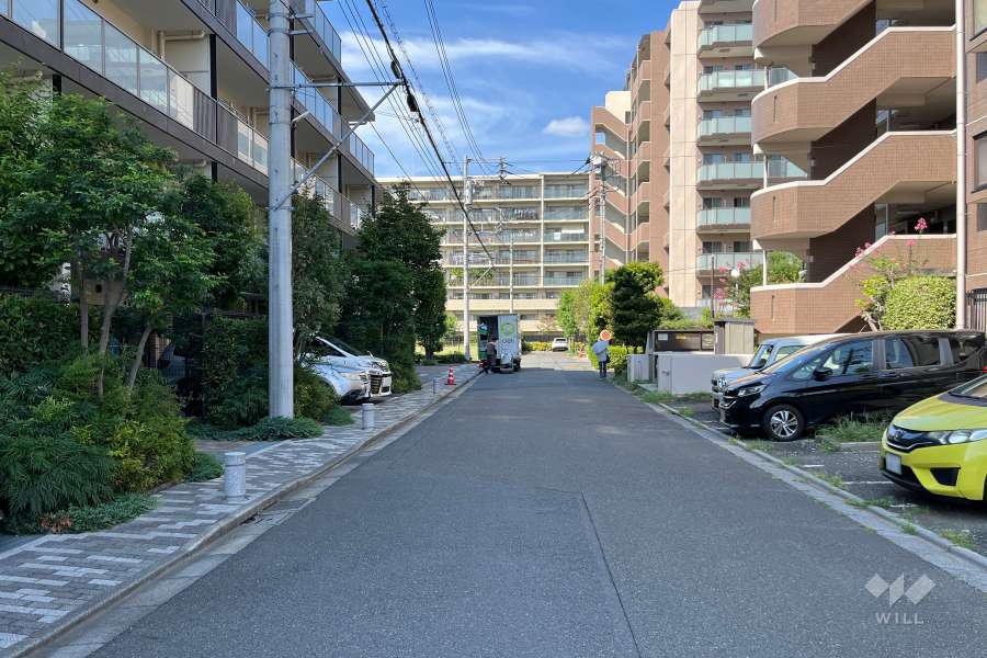 敷地の東側前面道路（南側から）