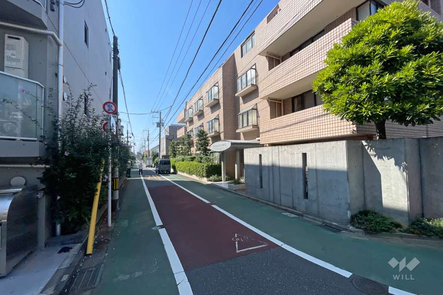 敷地の東側前面道路（北側から）