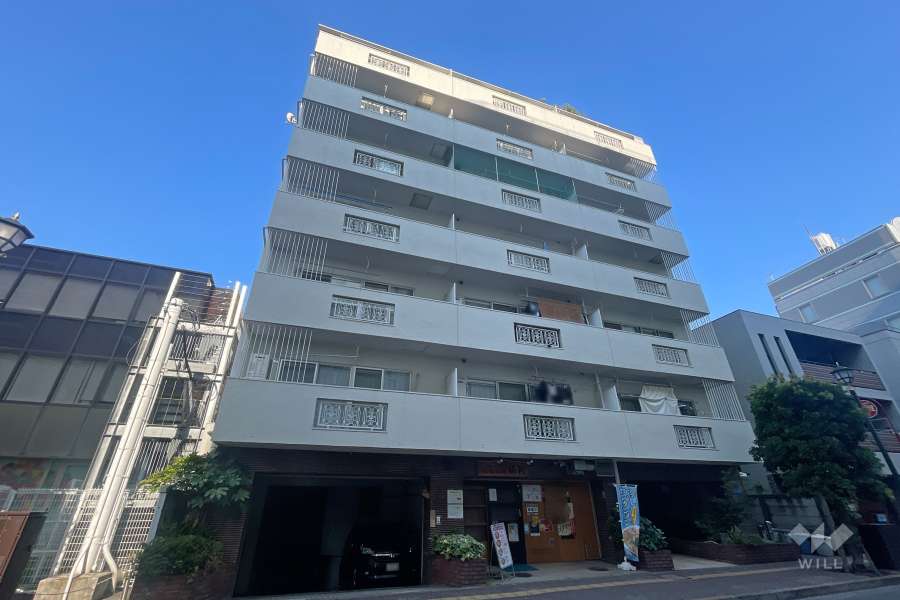 東洋三鷹コーポの外観（南東側から）