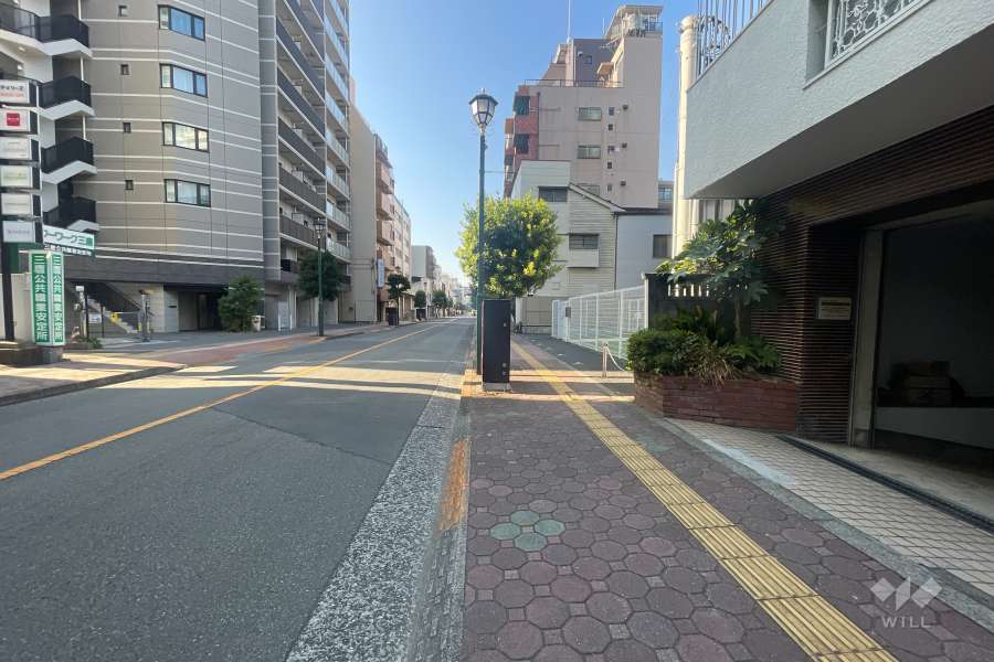 敷地の東側前面道路（北側から）
