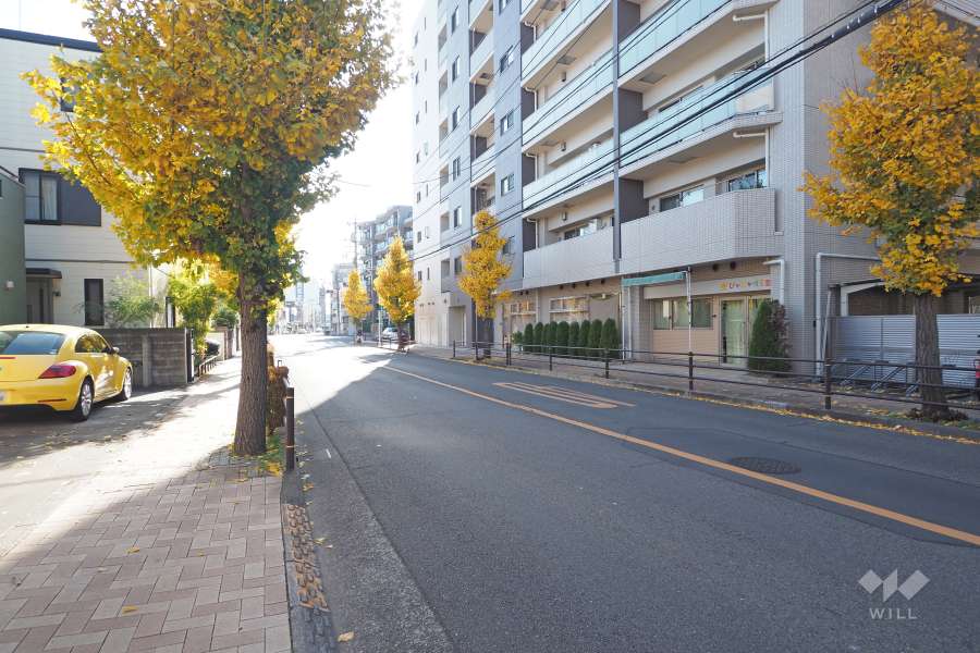 敷地東側の前面道路（北側から）