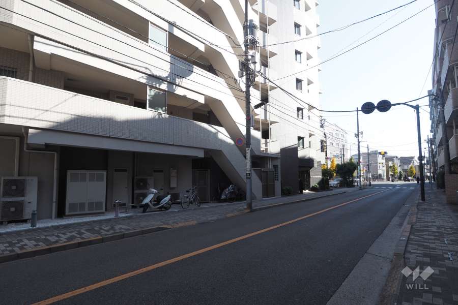 敷地西側の前面道路（北側から）