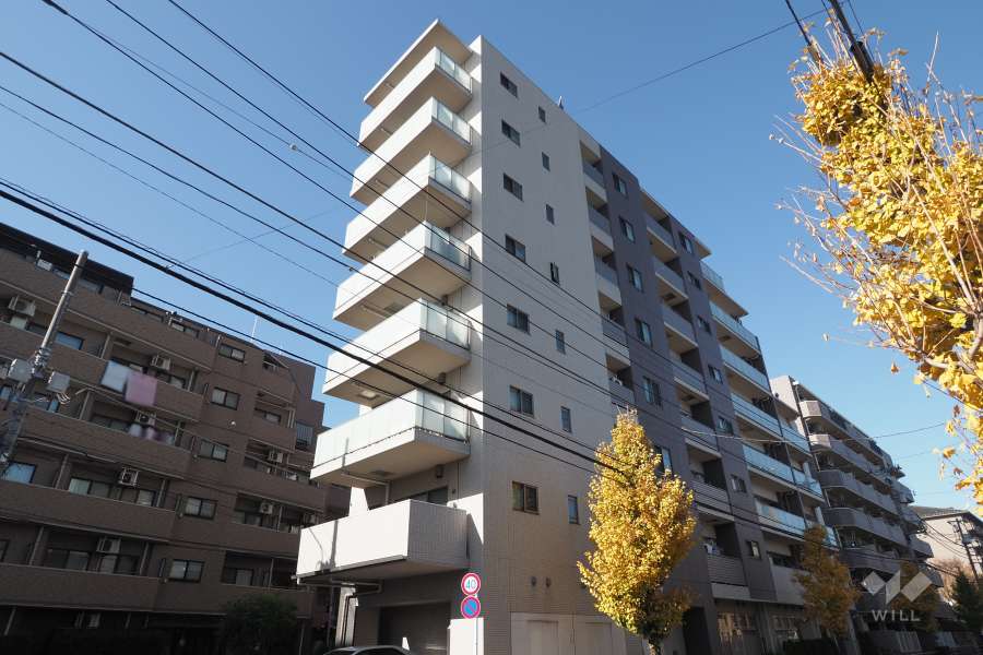 パレステージ三鷹の外観（南東側から）