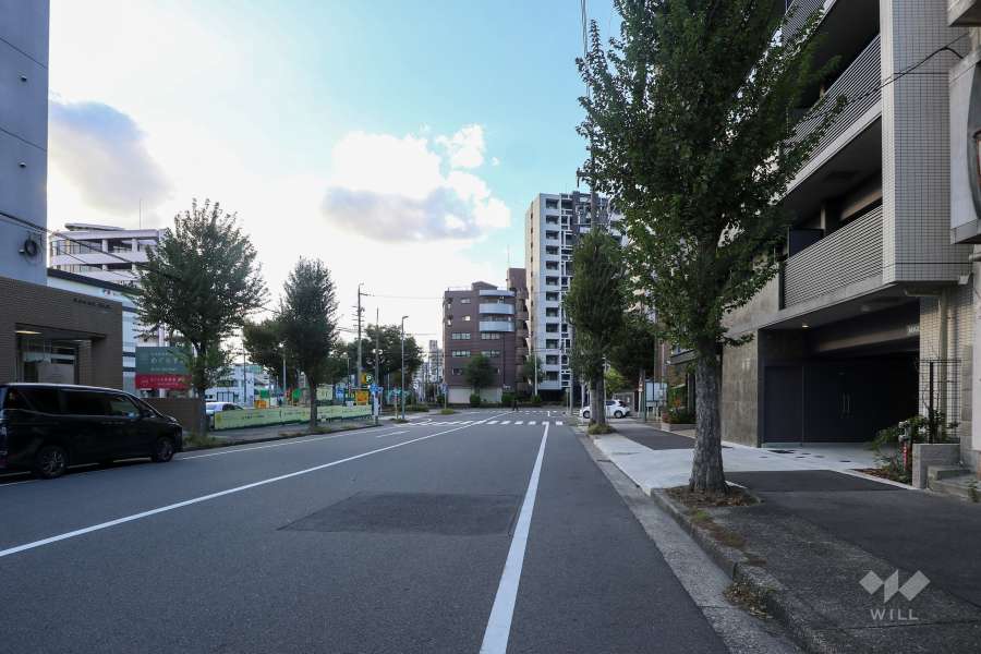 敷地南西側の前面道路（南東側から）