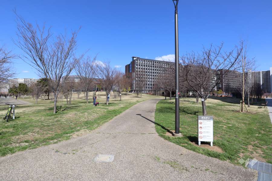 敷地北側に隣接した『葛飾にいじゅくみらい公園』