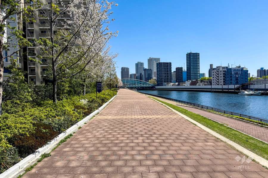 敷地南西側の前面道路