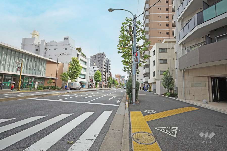 敷地北側の前面道路