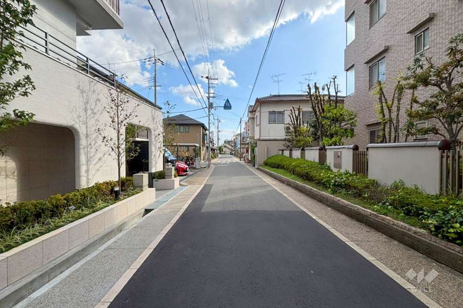 敷地西側の前面道路(北側から)