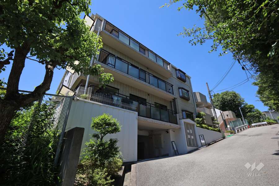 朝日プラザ雲雀丘西の外観（南東側から）