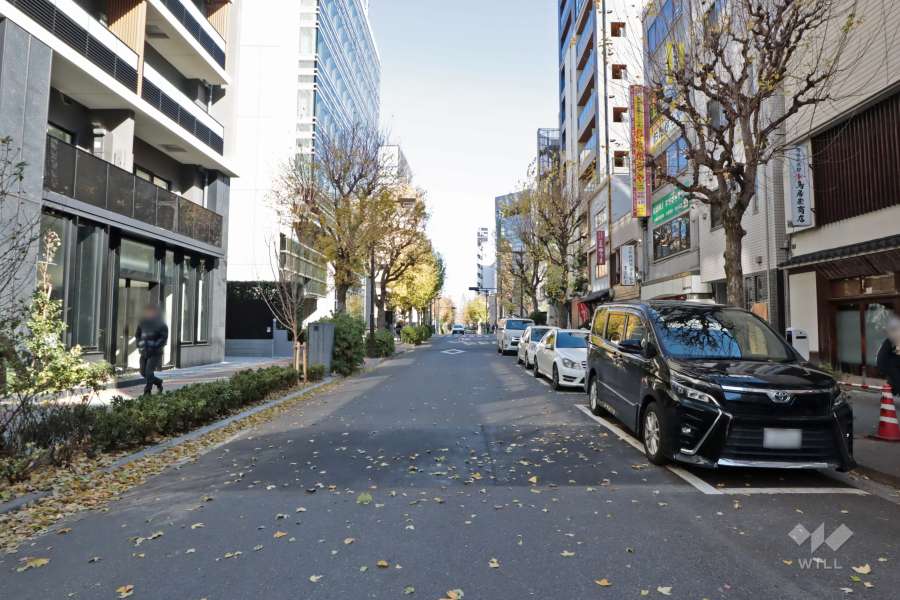 南東側の前面道路（南西側から）
