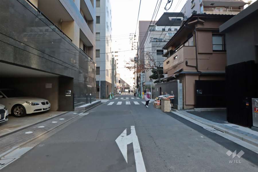 南西側の前面道路（南東側から）