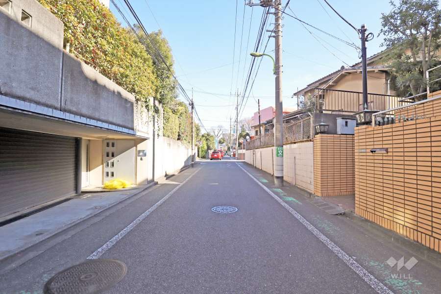 敷地南側の前面道路(西側から)