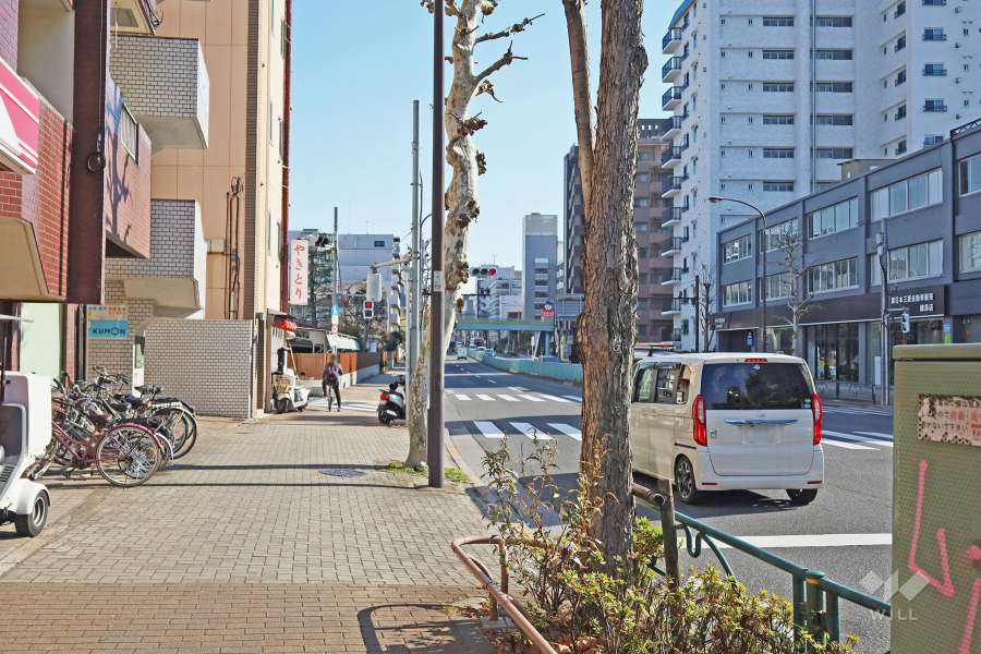 敷地南側の前面道路（西側から）