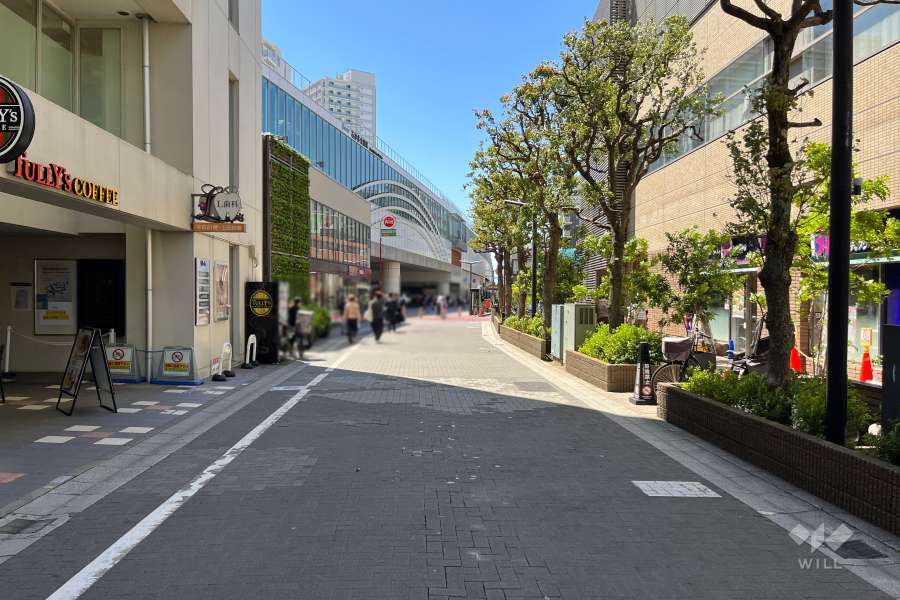 敷地南側の前面道路
