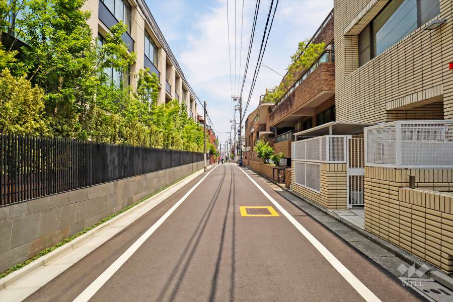 敷地南側の前面道路(西側から)