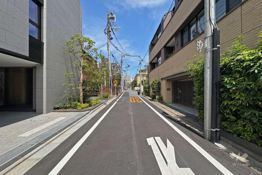 敷地南側の前面道路（西側から）