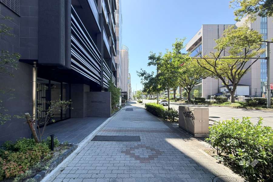 敷地南側の前面道路(西側から)