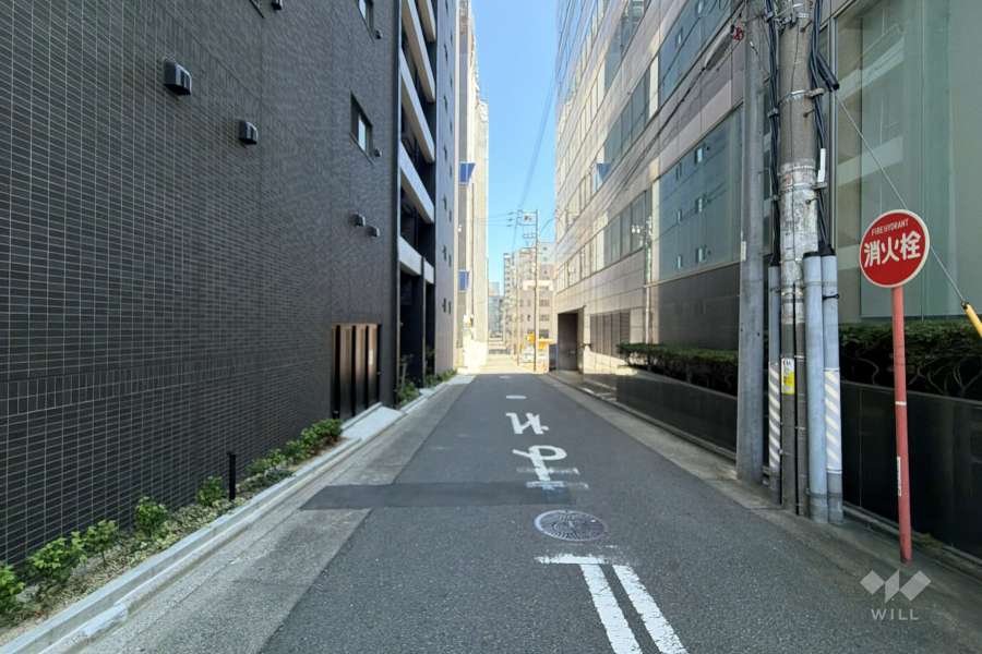 敷地東側の前面道路(南側から)