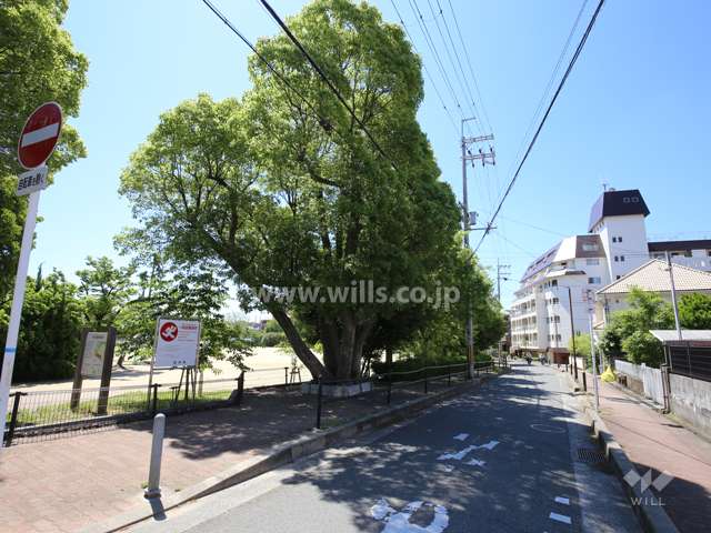 敷地の東側には、『大曽公園』があります。