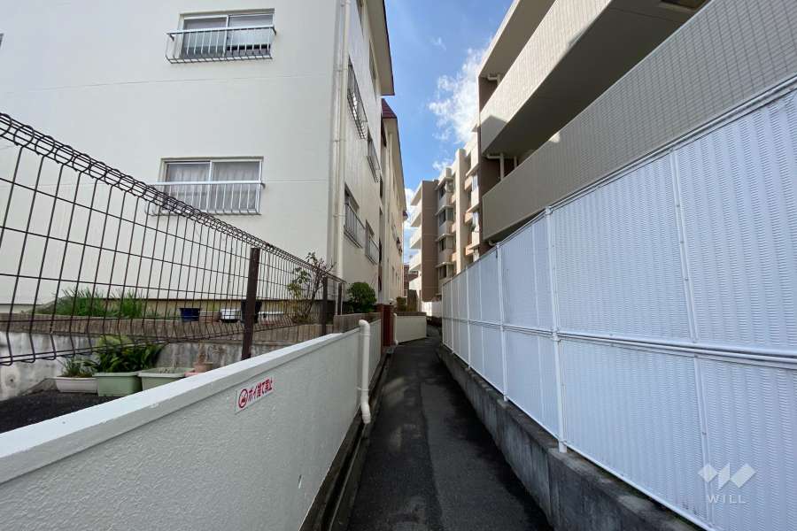 敷地北側の通路