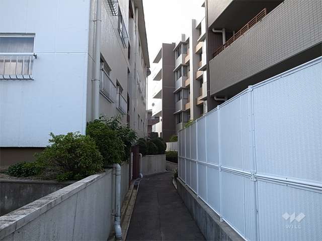 敷地北側の通路