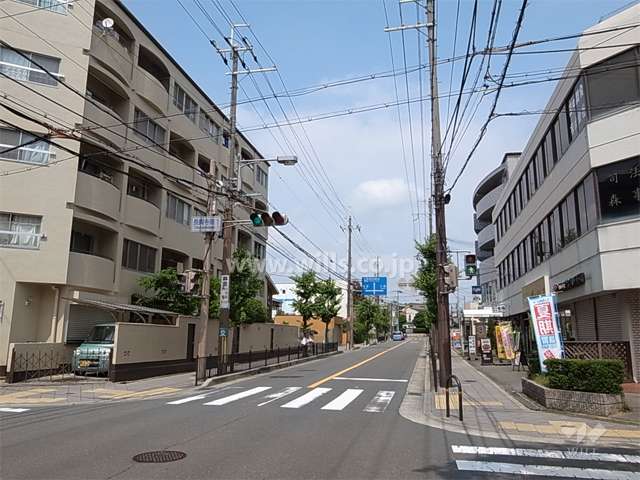 服部緑地に続く、街路樹のきれいなバス通りに面しています。（バス停徒歩1分）