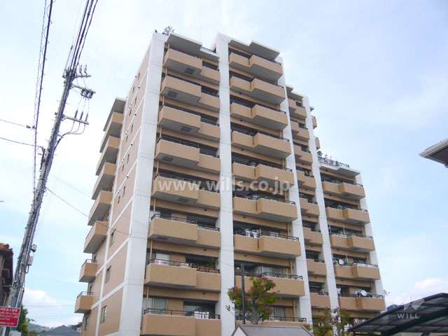 ダイアパレス宝塚クォリテージ1の外観（南側から）