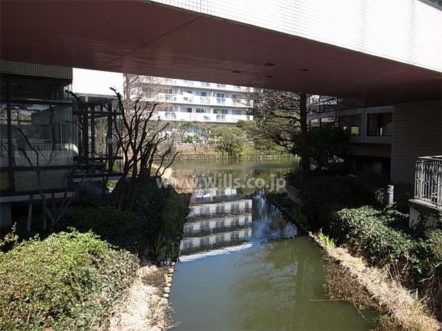 敷地南側は芦田ヶ池に面しており、池の周囲にはアクア文化ホールなどの公共施設が並んでいます。