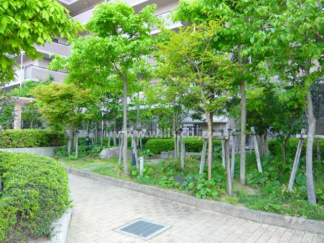 敷地内は植栽豊かです