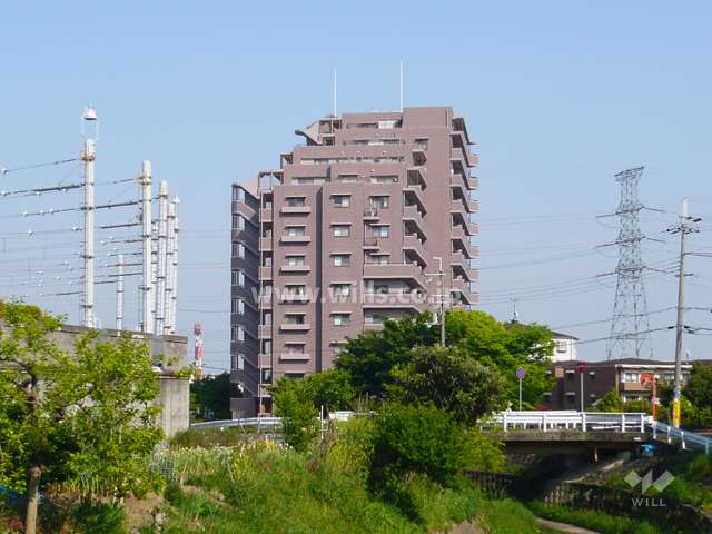 外観（西側から）