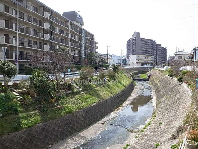 敷地の北側には最明寺川が流れています。